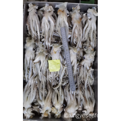 Calamari congelati Tentacles Nototodarus Sloanii 180-200g